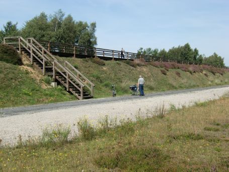Brüggen : Brachter Wald, auf dem ehemaligen Splitterschutzwall befindet sich ein ca. 100 m langer Holzbohlenweg